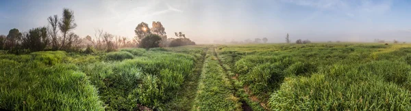 Landschap — Stockfoto