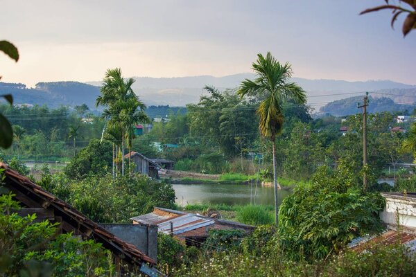 beautiful green tropical plants and rooftops with mountains behind, vietnam, dalat region