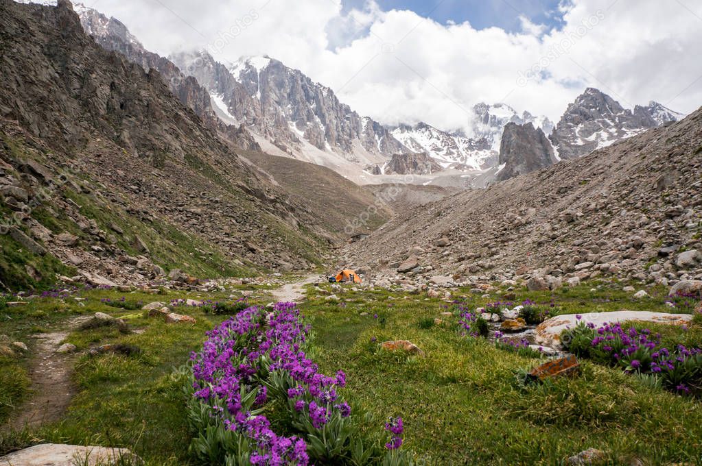 view of meadow with stones and flowers against footpath on foot of rocks, Ala Archa National Park, Kyrgyzstan