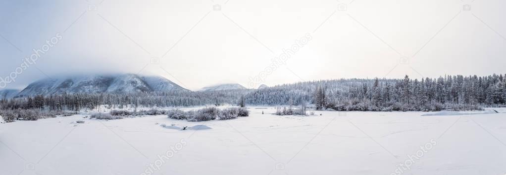 beautiful winter landscape with firs in mountains, jakutia 