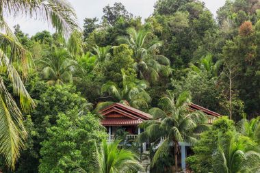 manzara
