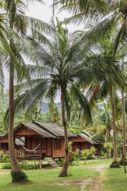 landscape with green palms and bungalows for vacation clipart