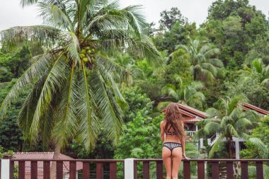 rear view of young girl on balcony looking at tropical forest clipart