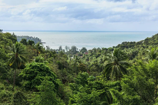 Tropical — Foto de Stock