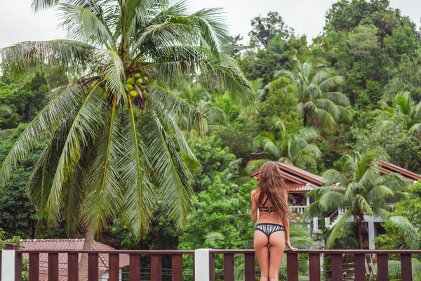 Rear View Young Girl Balcony Looking Tropical Forest — Stock Photo, Image