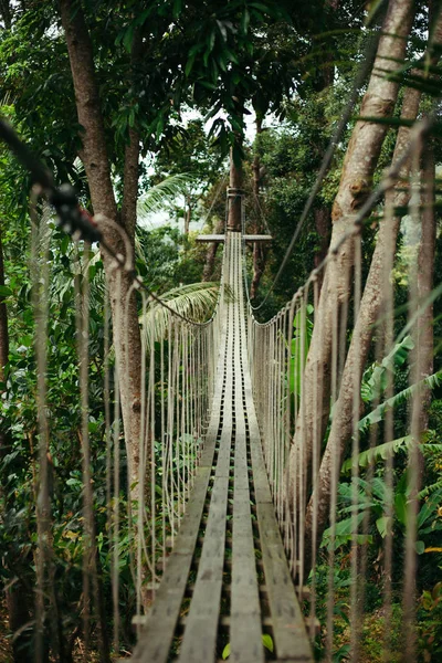 empty wooden suspension bridge in jungle