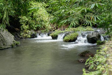 nehir, ağaçlar yeşil yeşillik ve kayalar, Bali, Endonezya ile güzel doğal görünümü