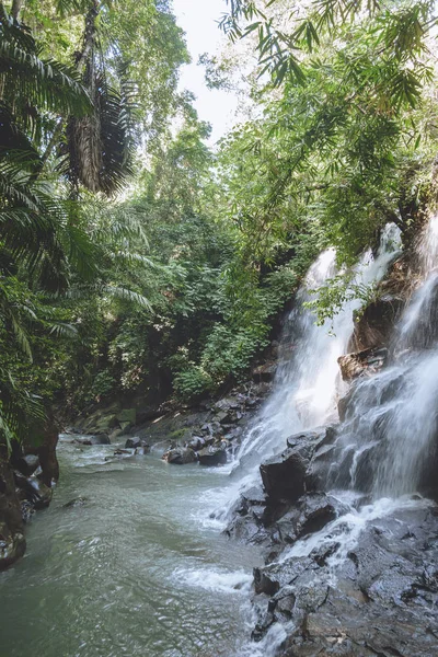 Natur — Stockfoto