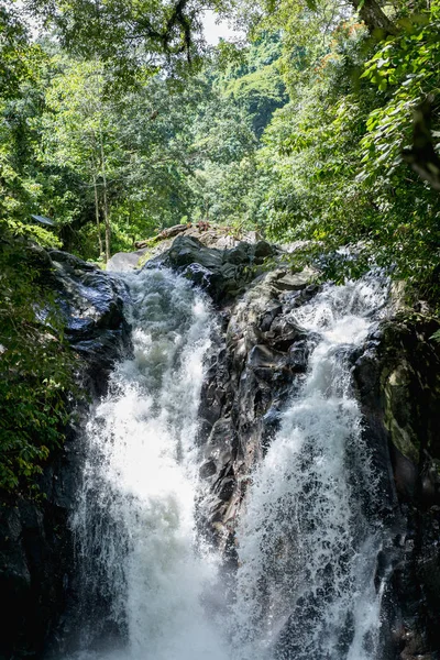 Vista Panorámica Cascada Aling Aling Varias Plantas Verdes Bali Indonesia — Foto de Stock