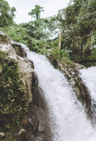Мальовничий Вид Водоспад Gitgit Різні Зелені Рослини Балі Індонезія — стокове фото