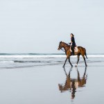 Avlägsna syn på kvinnan Rider häst på sandstrand med havet bakom