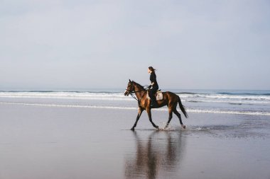kum plajındaki genç kadın binicilik binicilik at yan görünüm 