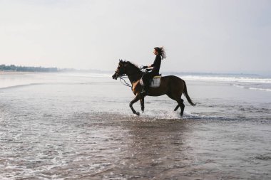 young female equestrian riding horse in water  clipart