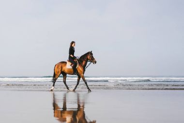 young female equestrian riding horse on sandy beach  clipart
