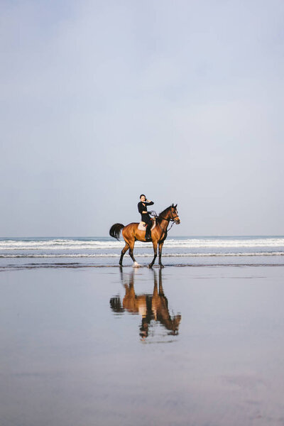 distant view of female equestrian riding horse on beach 