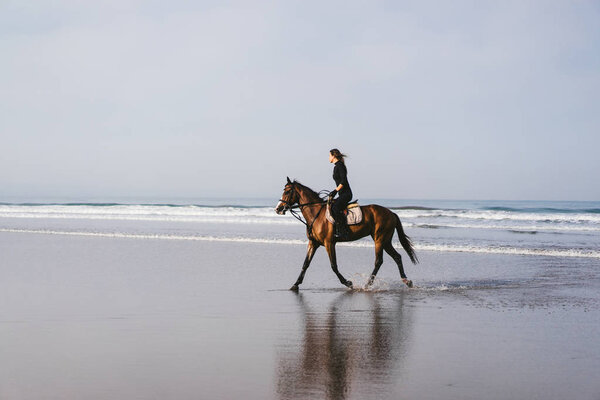 side view of young female equestrian riding horse on sandy beach 
