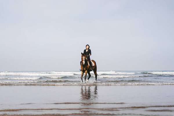 distant view of woman riding horse on sandy beach with ocean behind 