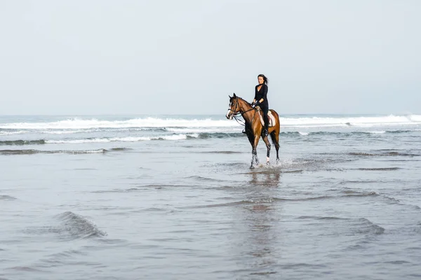 Verre Uitzicht Vrouwelijke Paardensport Paardrijden Paard Water — Gratis stockfoto