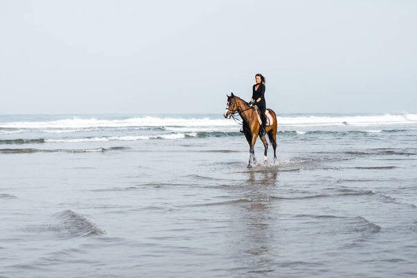 distant view of female equestrian riding horse in water 