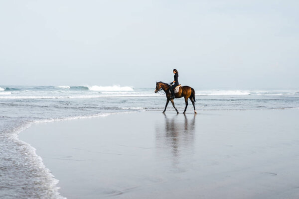 distant view of female equestrian riding horse on sandy beach 