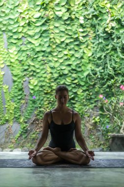 Lotus pozu