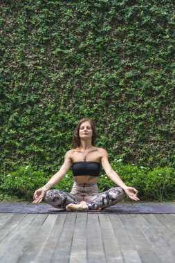 Yogi