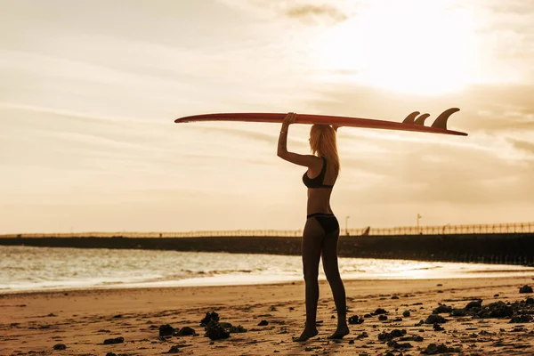 Kadın Sörfçü Gün Batımında Başına Surfboard Ile Poz — Stok fotoğraf