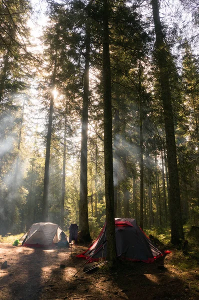 Zelten im Wald bei Gegenlicht — Stockfoto