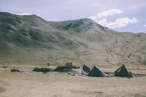 Rebaño de ovejas pastando en pastos en montañas rocosas y tiendas de campaña, Himalaya india, Ladakh - foto de stock