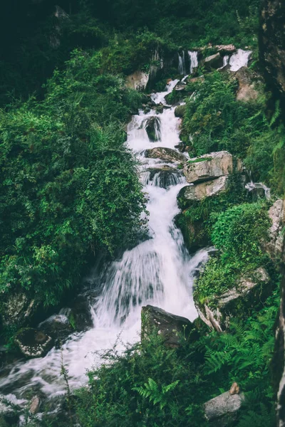 Amazing waterfall with rocks and green plants in indian himalayas — Stock Photo