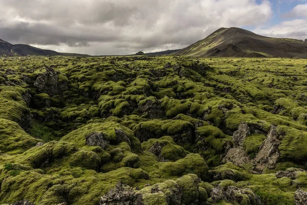 Paysage majestueux avec montagnes pittoresques, mousse et ciel nuageux en Islande — Photo de stock