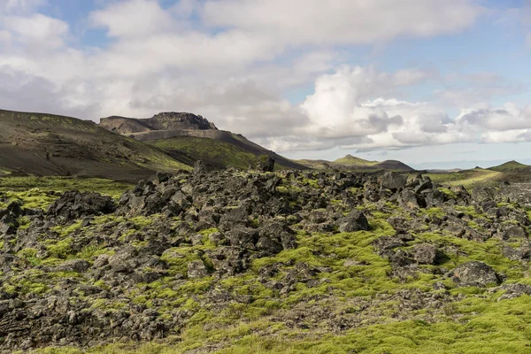 Bela paisagem com montanhas e musgo na Islândia — Fotografia de Stock