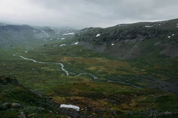 Vue sur le champ d'herbe verte avec ruisseau entouré de falaises rocheuses, Norvège, Parc national Hardangervidda — Photo de stock