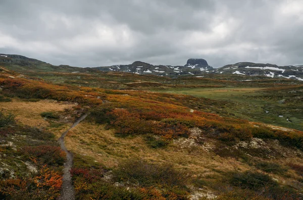 Blick auf Feld mit orangefarbenen und grünen Pflanzen und felsigen Hügeln im Hintergrund, Norwegen, Hardangervidda Nationalpark — Stockfoto