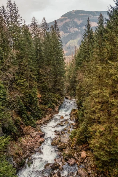 Vista sul torrente circondato da alberi e pietre sulle rive, colline sullo sfondo, Morskie Oko, Sea Eye, Parco Nazionale dei Tatra, Polonia — Foto stock