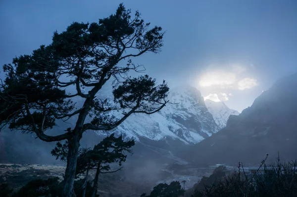 Árvore e céu noturno com luz solar, Nepal, Sagarmatha, novembro de 2014 — Fotografia de Stock