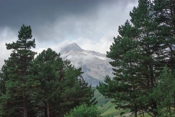 Belle vue panoramique sur les arbres dans les montagnes, Caucase, Russie — Photo de stock
