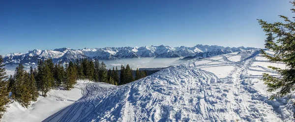 Vista panorámica de las montañas nevadas con árboles en invierno, Alpes, Alemania - foto de stock