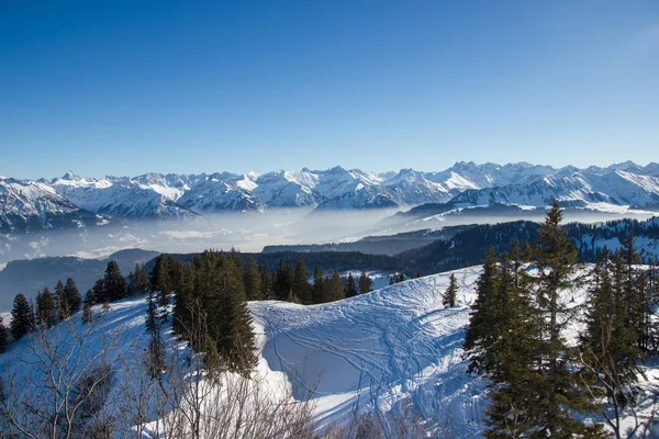 Panoramablick auf verschneite Berge mit Bäumen im Winter, Alpen, Deutschland — Stockfoto