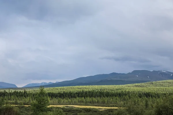Vue panoramique sur ciel nuageux, montagnes et forêt, Altaï, Russie — Photo de stock