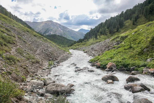 Rivière de montagne — Photo de stock