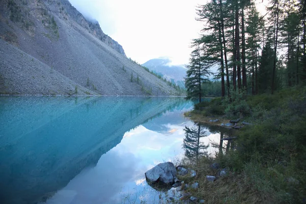 Lac clair, les arbres et les montagnes en Altaï, Russie — Photo de stock