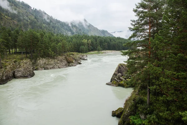 Rivière de montagne dans la vallée et les montagnes majestueuses, Altaï, Russie — Photo de stock
