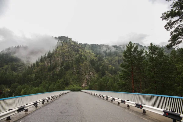 Красивый горный ландшафт и асфальтовая дорога в пасмурный день, Алтай, Россия — стоковое фото