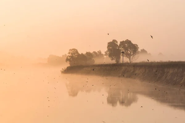 Mist. — Fotografia de Stock