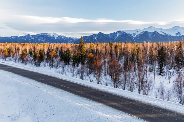 Road — Stock Photo