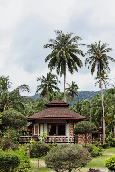Paysage avec bungalow dans la forêt de palmiers verts — Photo de stock