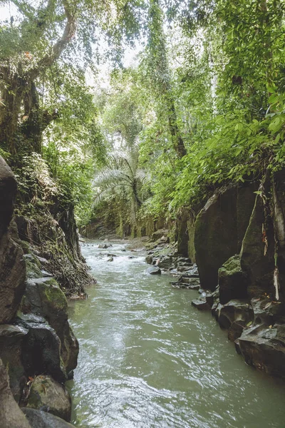 Rivière — Photo de stock