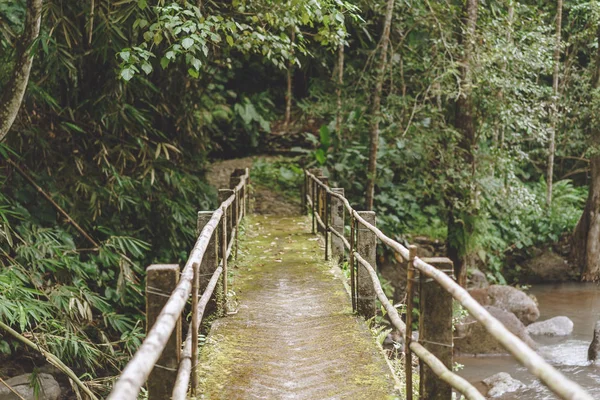 Vista panoramica sul ponte sul fiume e vari alberi con fogliame verde, Bali, Indonesia — Foto stock