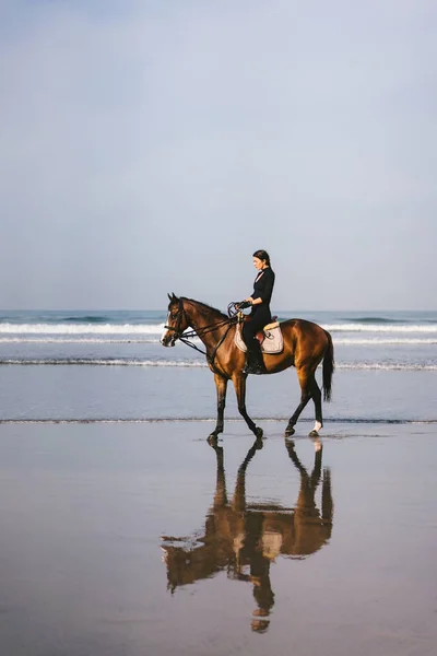 Young female equestrian riding horse on sandy beach near ocean — Stock Photo